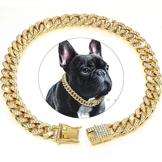 Gros plan d’un chien dans une chaîne cubaine ornée Collier de chien avec chaîne en or et photo de chien
