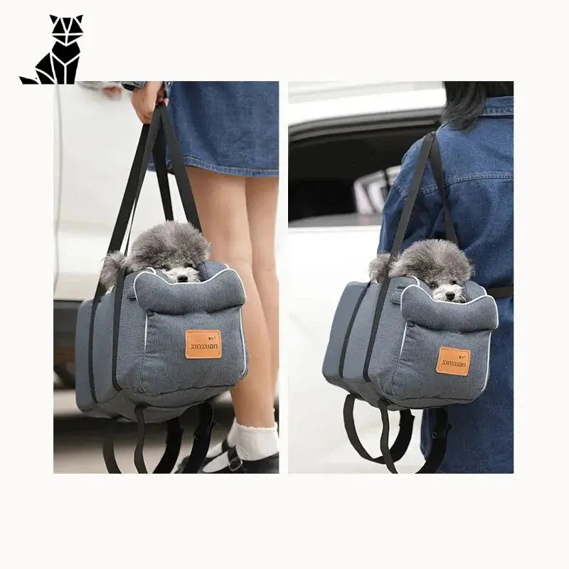 Femme transportant un chat gris dans un sac à dos gris pour un siège auto de voyage pour chats